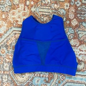 Blue Chestee Sports Bra